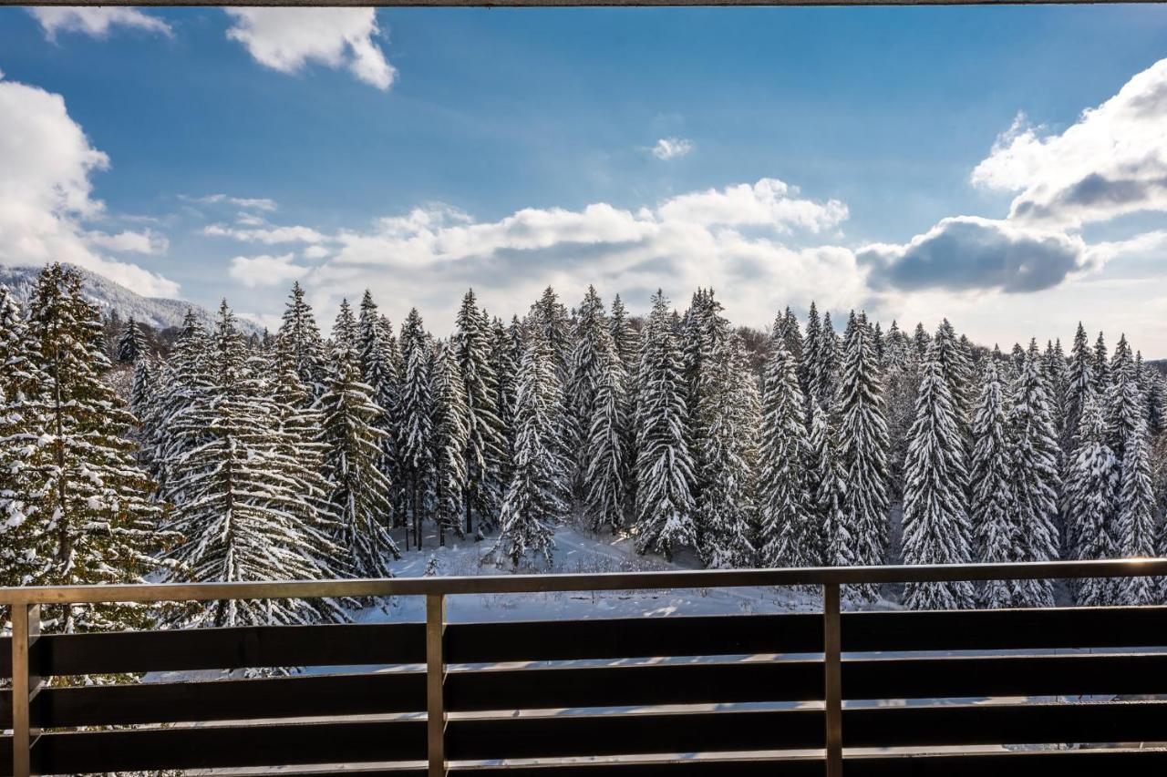 Silver Mountain - Ana's *